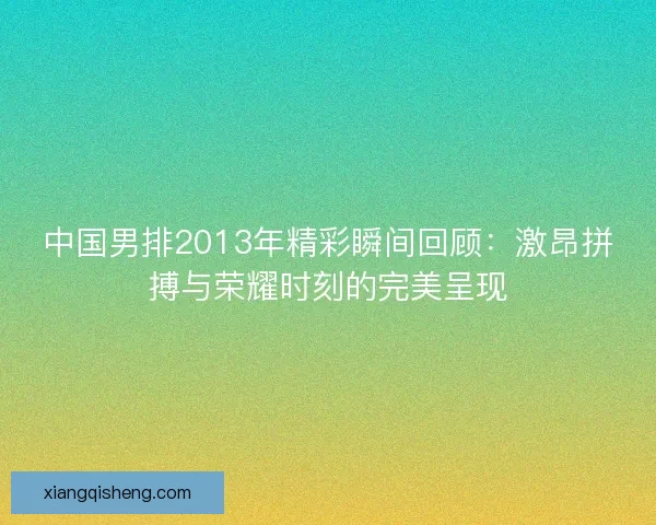 中国男排2013年精彩瞬间回顾：激昂拼搏与荣耀时刻的完美呈现