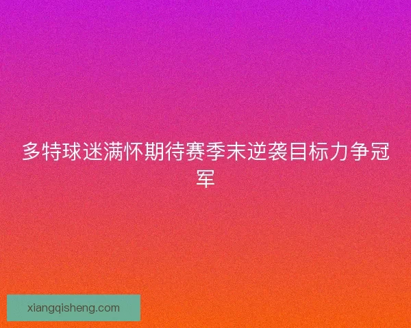 多特球迷满怀期待赛季末逆袭目标力争冠军