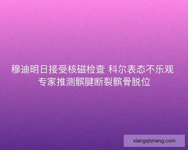 穆迪明日接受核磁检查 科尔表态不乐观 专家推测髌腱断裂髌骨脱位 穆迪明日接受核磁检查 科尔表态不乐观 专家推测髌腱断裂髌骨脱位