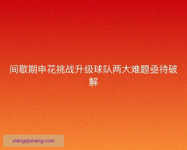 间歇期申花挑战升级球队两大难题亟待破解 间歇期申花挑战升级球队两大难题亟待破解